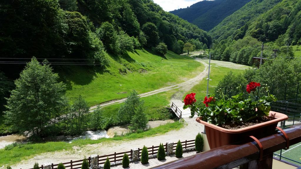 Pension Curmatura Stezii Rasinari Bagian luar foto