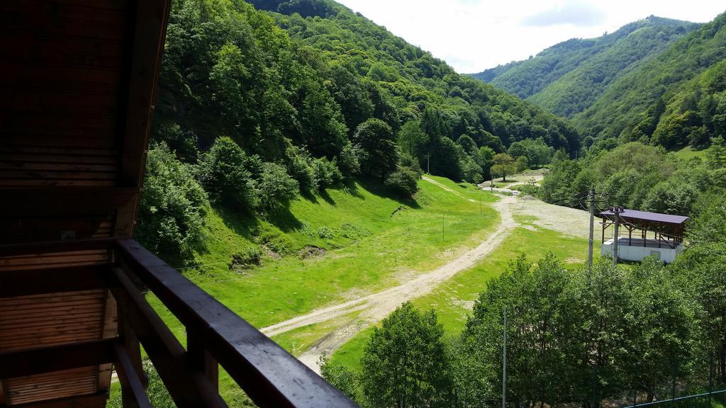 Pension Curmatura Stezii Rasinari Bagian luar foto