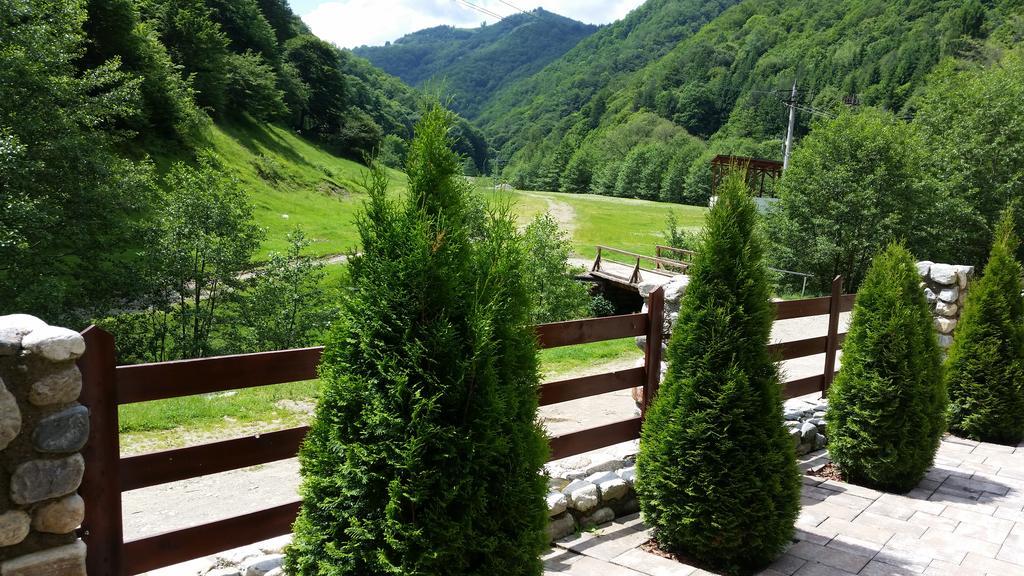 Pension Curmatura Stezii Rasinari Bagian luar foto